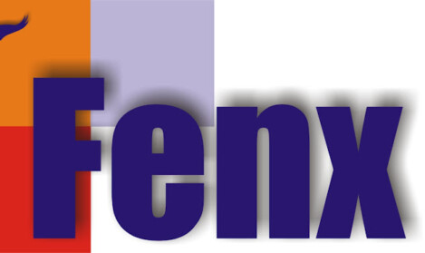 LOGO ANZIENDALE FENX SRL LOGO ANZIENDALE FENX SRL
